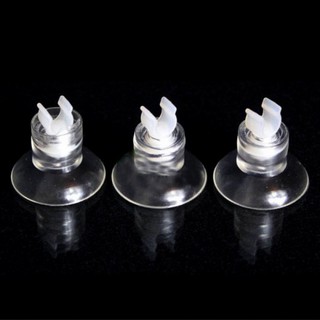 Hít kính giữ dây sủi cố định vào thành bể