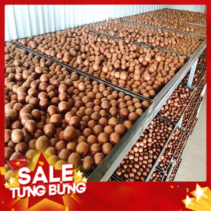 Quả macca sấy chín nứt vỏ  hộp 500gr, giá trị dinh dưỡng cực kỳ cao