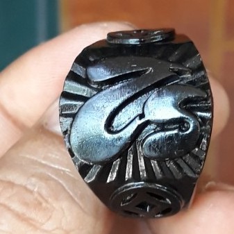 NHẪN GỖ, SỪNG