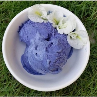 Trà hoa đậu biếc khô 100gr