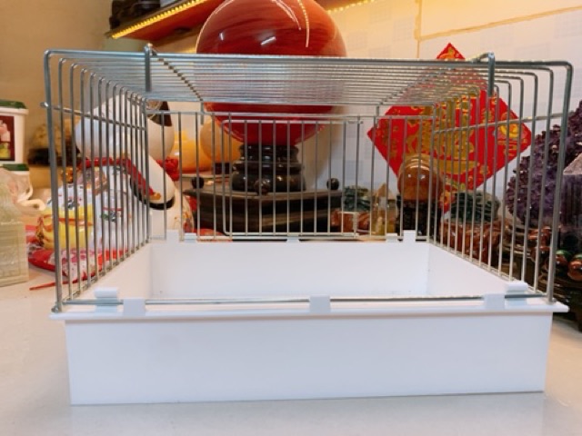 Chuồng tắm lớn có cửa hàng Ý