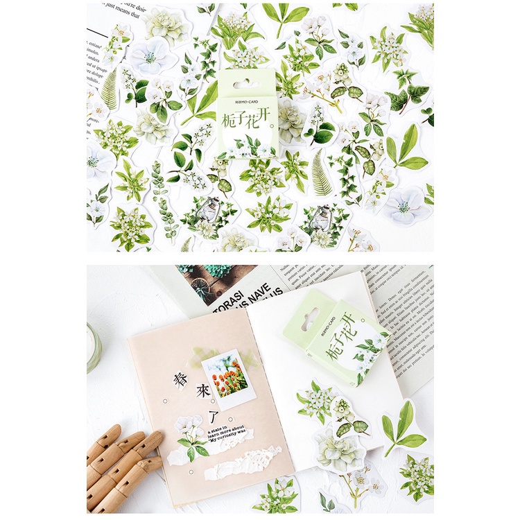 Hộp 46 chiếc sticker TRÀ TRẮNG LÁ XANH vintage tươi mát trang trí sổ Bullet Journal, decor Thư Thiệp Quà