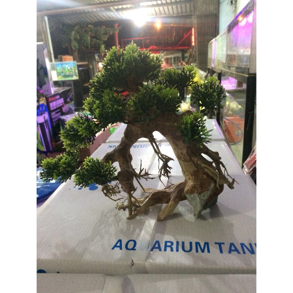Lũa Bonsai Mini Trang Trí Bể Cá - Bể Thủy Sinh