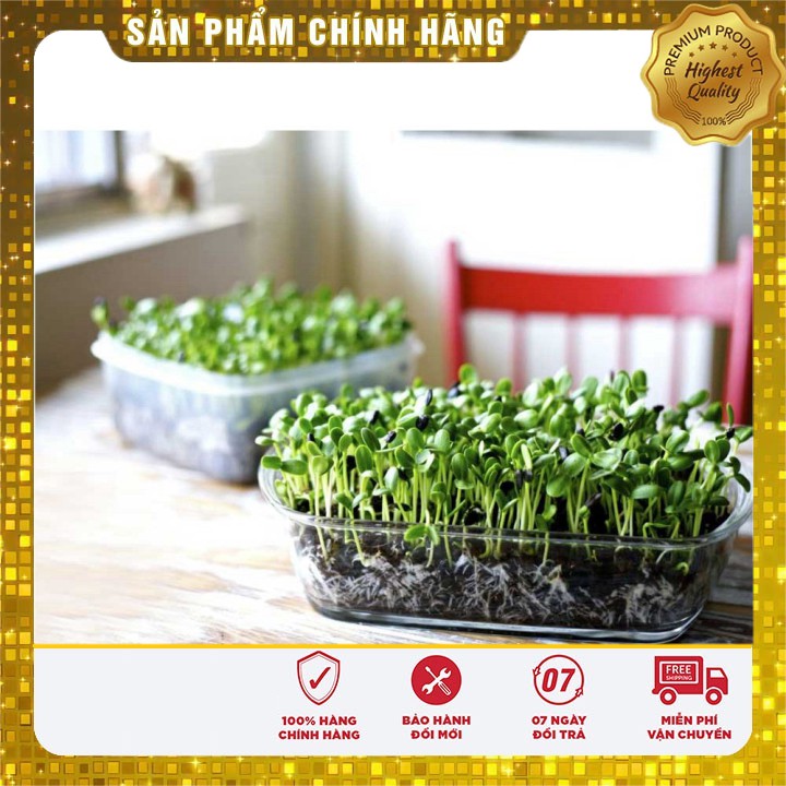 Hạt giống Rau mầm Cải Ngọt ( 50 gram)