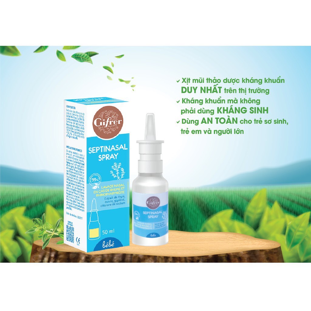 Fysoline - Nước Muối Kháng Khuẩn Gifrer Dạng Xịt Pháp 50ml dung dịch rửa mũi thảo dược an toàn