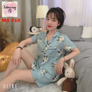 Set 3 bộ ngủ gấu xám