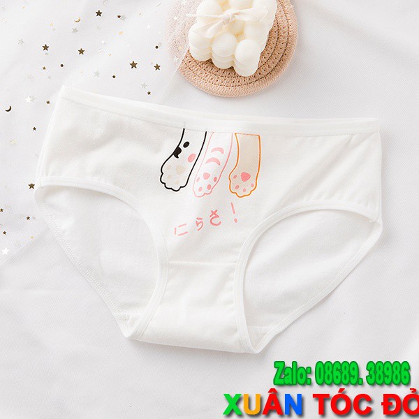 SỈ ZALO RẺ HƠN NHIỀU_ Quần Lót 5 Kiểu Mèo Siêu Kute Mới 5044 | BigBuy360 - bigbuy360.vn