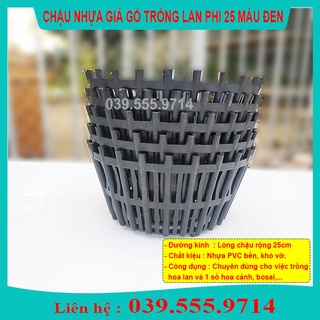 10 chậu nhựa trồng lan phi 25cm màu đen - chậu trồng cây giá rẻ