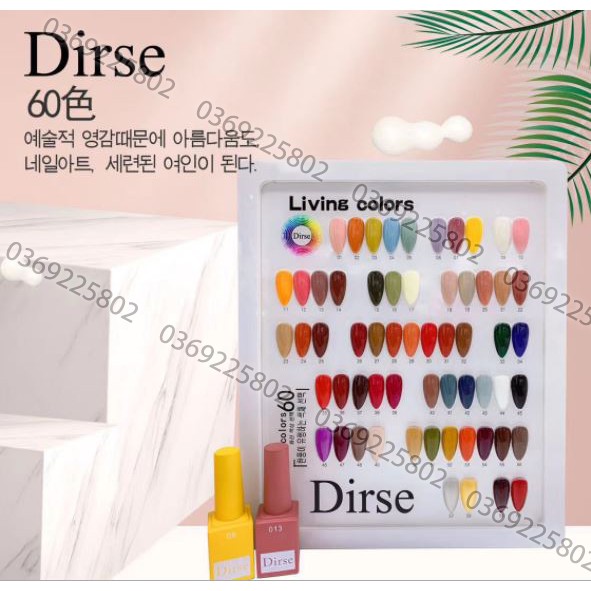 (CÓ VIDEO) SET Sơn Hàn DIRSE 60 chai cao cấp kèm bảng màu SANG CHẢNH