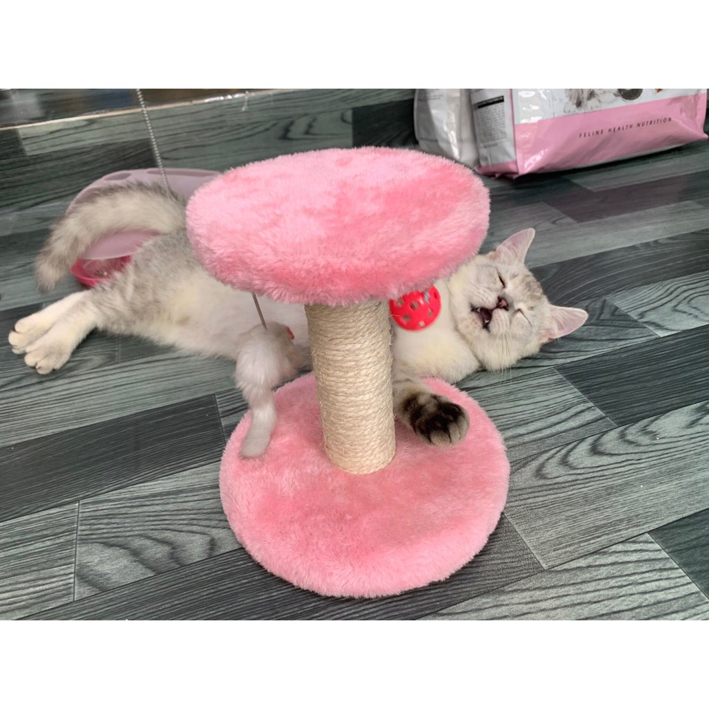 TRỤ CÀO MÓNG CHO MÈO 2 TẦNG