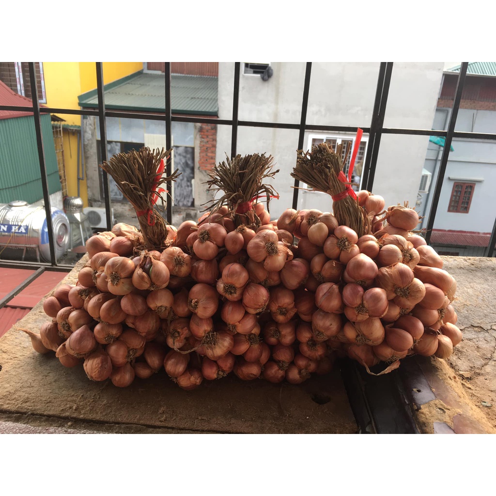 Hành Ta Kinh Môn Giá Sỉ, Hành Loại 1 Củ To, Đặc Sản Hải Dương