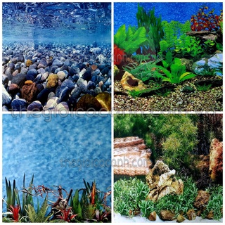 Tranh dán hồ cá, trang trí bể cá cao 30cm