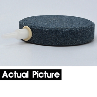 Sủi đĩa oxy siêu mịn 6cm 10cm