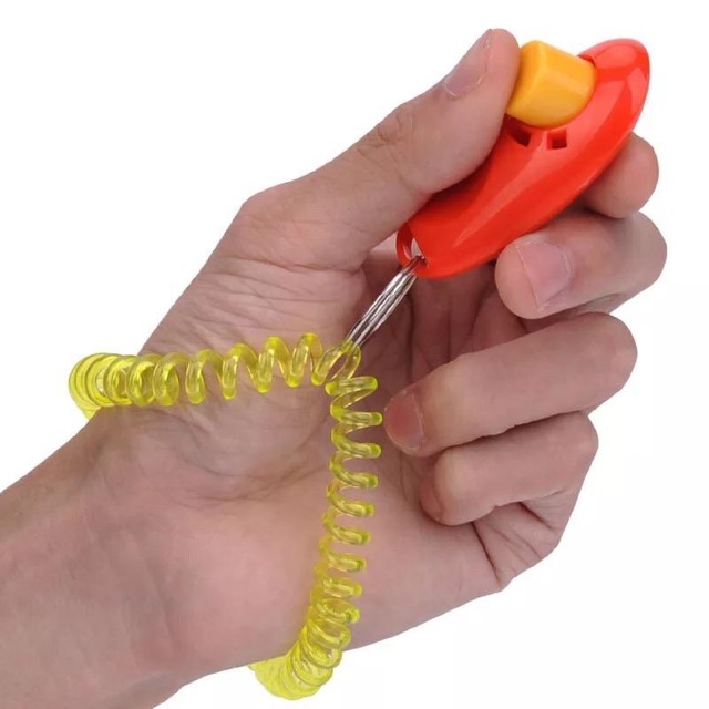 Clicker huấn luyện chó