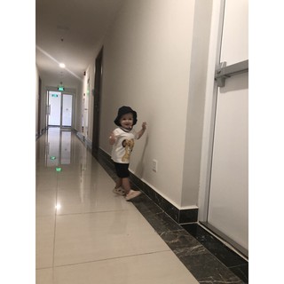 Set 3ct Lion sư tử