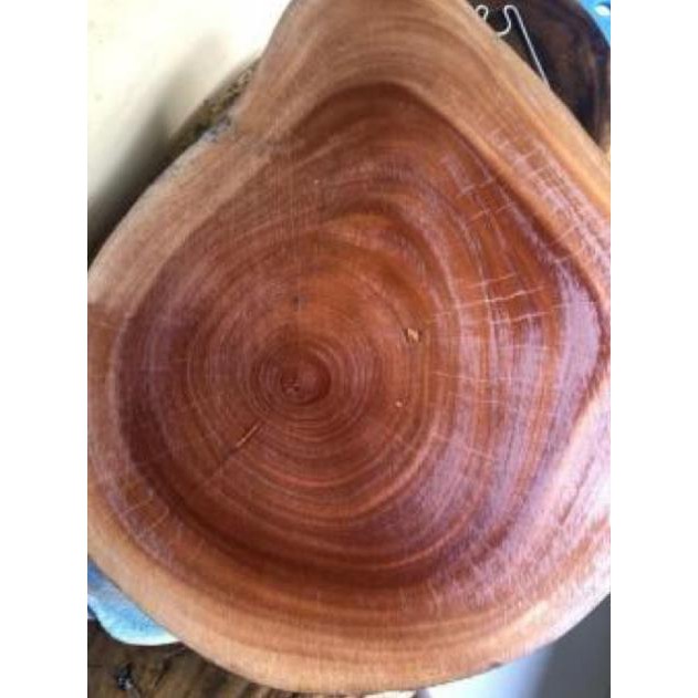 Sơn xịt bóng gỗ PU Polyurethan