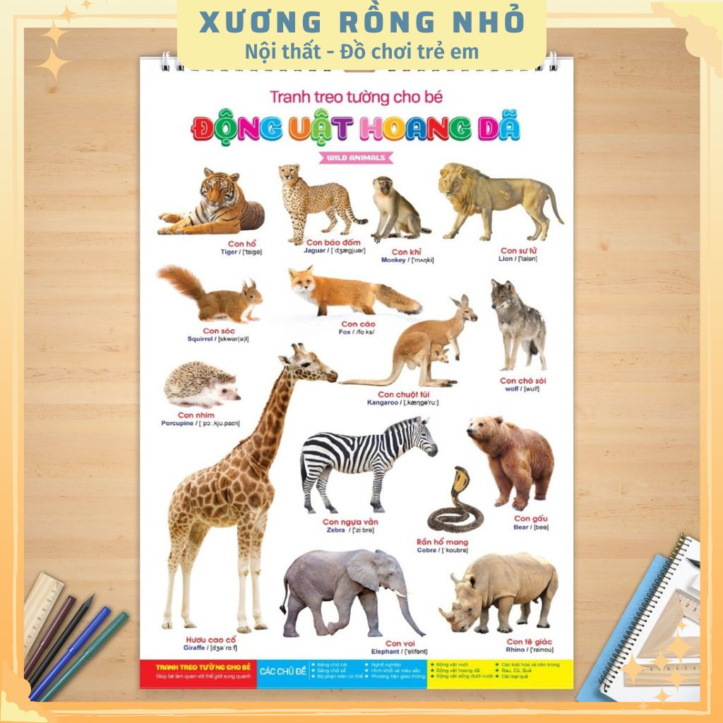Tranh treo tường 14 chủ đề rõ nét cho bé học thế giới xung quanh