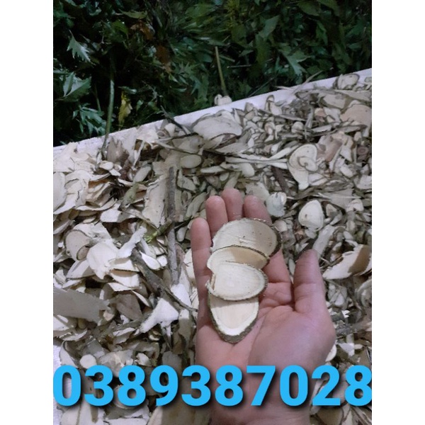 Thân cây đinh lăng thái lát hết phong thấp,đau lưng 1kg