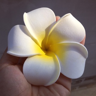 Combo 5 kẹp hoa sứ cài tóc size 7cm