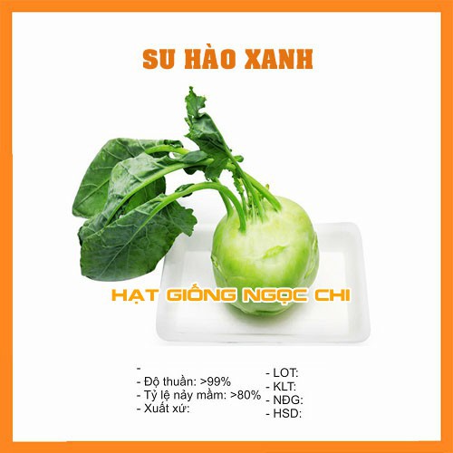 Hạt Giống Su Hào Xanh (Hạt Giống Ngọc Chi) - 0.5Gr