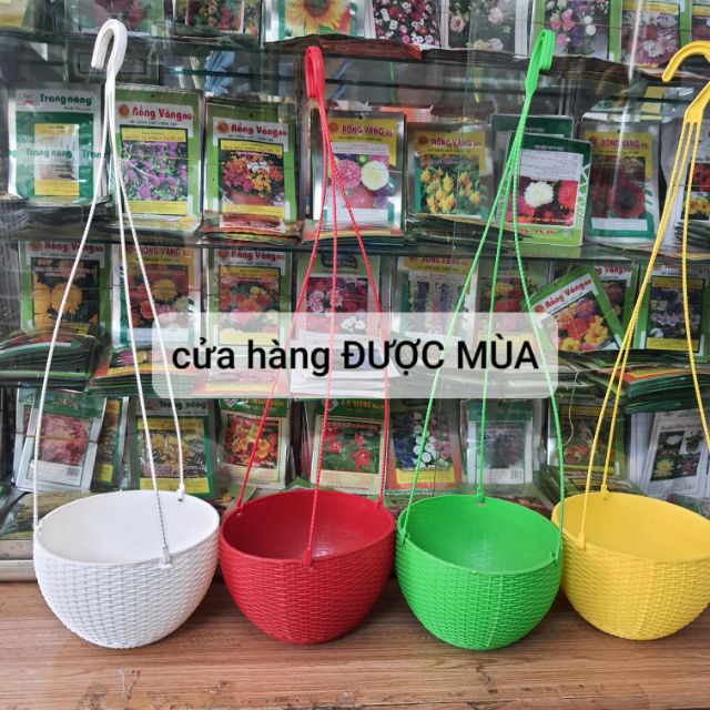 Chậu treo mây trồng hoa đường kính 20cm.