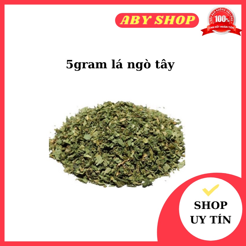 5gram lá ngò tây/ lá mùi tây parsley ⚡ LOẠI NGON ⚡ lá ngò tây được dùng tạo màu sắc và tăng hương vị của món ăn