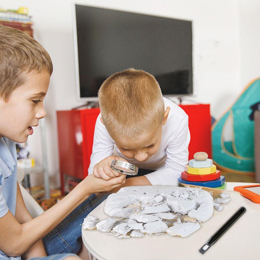 1 Bộ Mô Hình Xương Khủng Long Đồ Chơi Giáo Dục Khoa Học Cho Bé Trai / Bé Gái