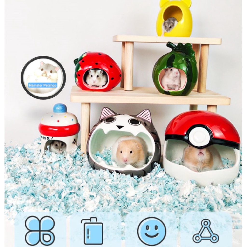 Nhà ngủ  sứ cho Hamster