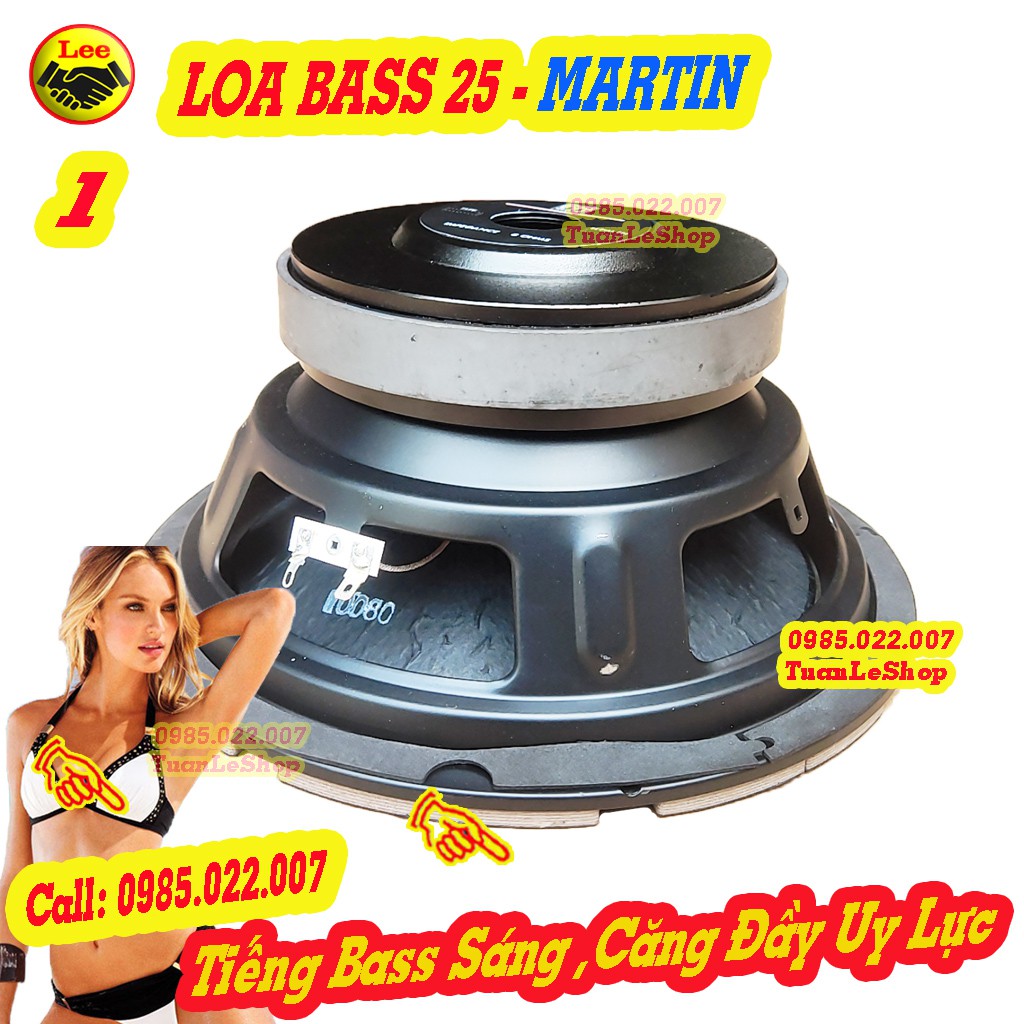 LOA BASS 2.5 TẤC MARTIN SẮT - GIÁ 1 CỦ LOA BASS 25