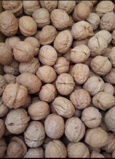 1kg Óc chó nếp Tây Bắc