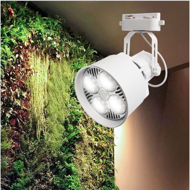 Đèn thủy sinh, bán cạn ánh sáng trắng 5000- 6500 Kelvin