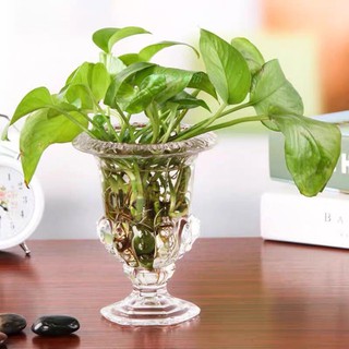 LY PHẬT THỦ ĐỂ BÀN HOA VĂN SANG TRỌNG- LY THỦY TINH CẮM HOA NGÀY TẾT NHIỀU KÍCH THƯỚC