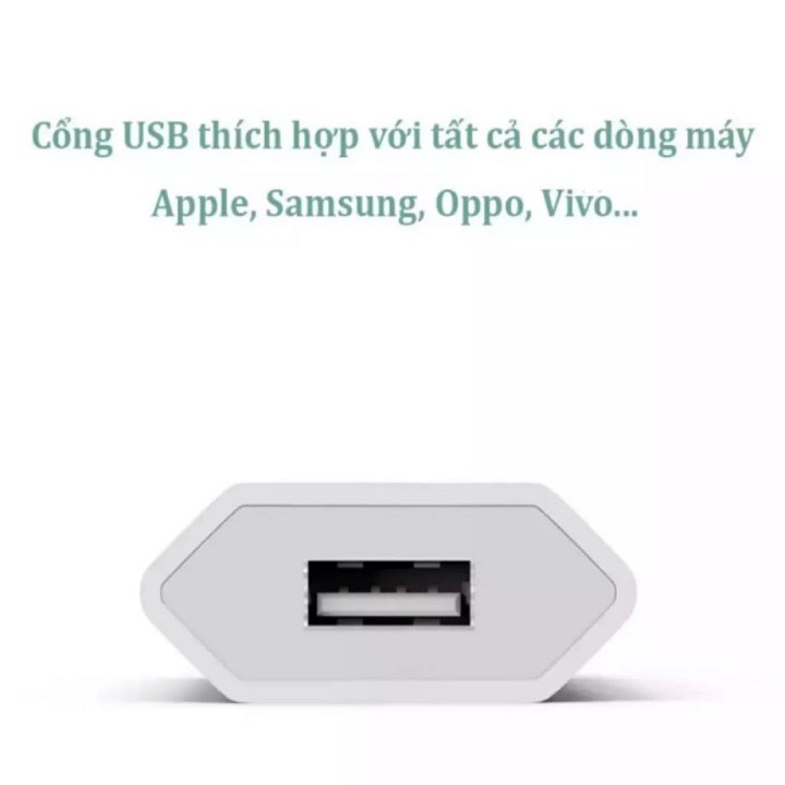 [GIảm Giá] Củ sạc iphone 5, 6, 7, 8, X, 11 cóc sạc dài không kén máy, không báo lỗi, không loạn cảm ứng