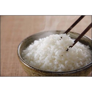 Túi 5kg gạo 504