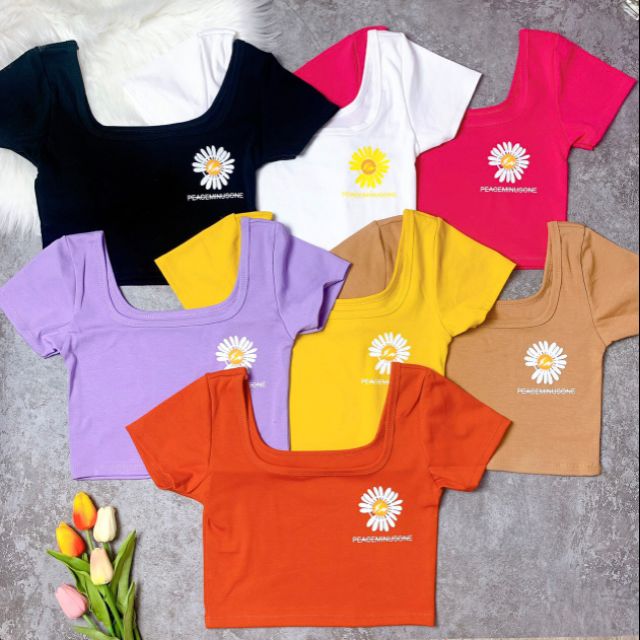 Áo bông cúc bozip cổ U ( HÌNH THẬT )
