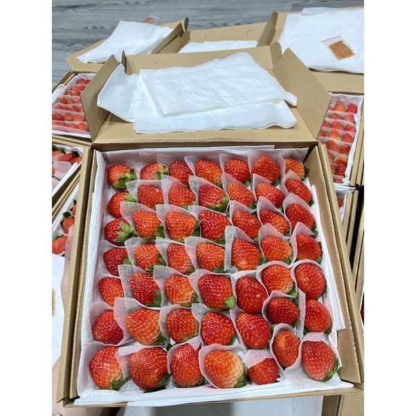 Dâu tây giống Hàn ngọt thơm, chua nhẹ