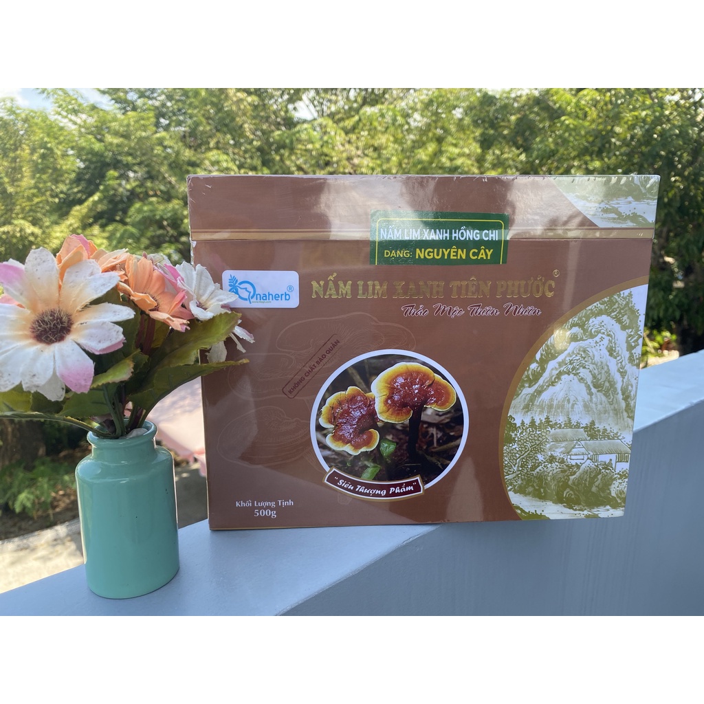 Nấm Lim Xanh nguyên cây 500 gram