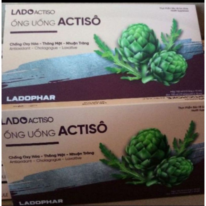 Cao atiso Đà Lạt