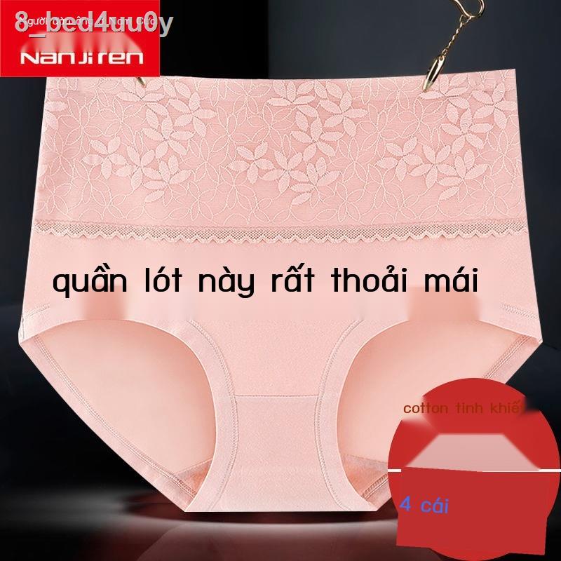 Quần lót bụng lưng cao Nam Cực dành cho nữ người lớn cotton kháng khuẩn short ren đầu kích thước chất béo mm