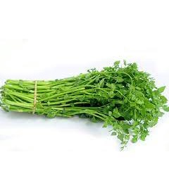 Rau Cần Ta Tươi xào thịt bò Ngon - giao hỏa tốc