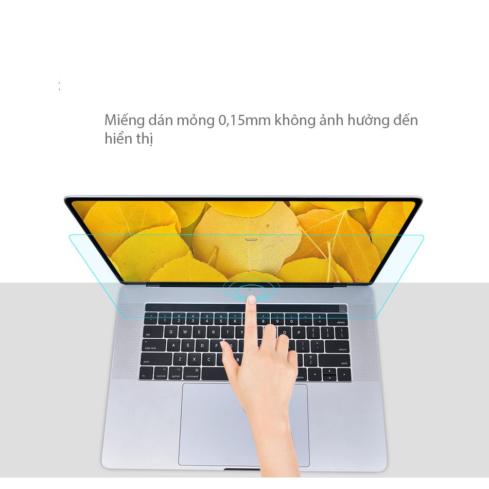 Miếng dán bảo vệ màn hình Macbook  Chính hãng WIWU Design