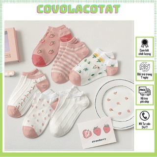 Set tất nữ dâu hồng cao cấp - tất nữ covolacotat