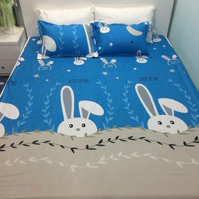 Bộ ga cotton poly kèm 2 vỏ gối
