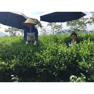 đặc sản chè thái nguyên