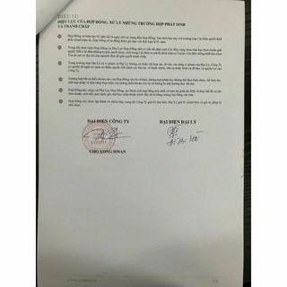 Đệm đa năng Everon giảm giá 50%