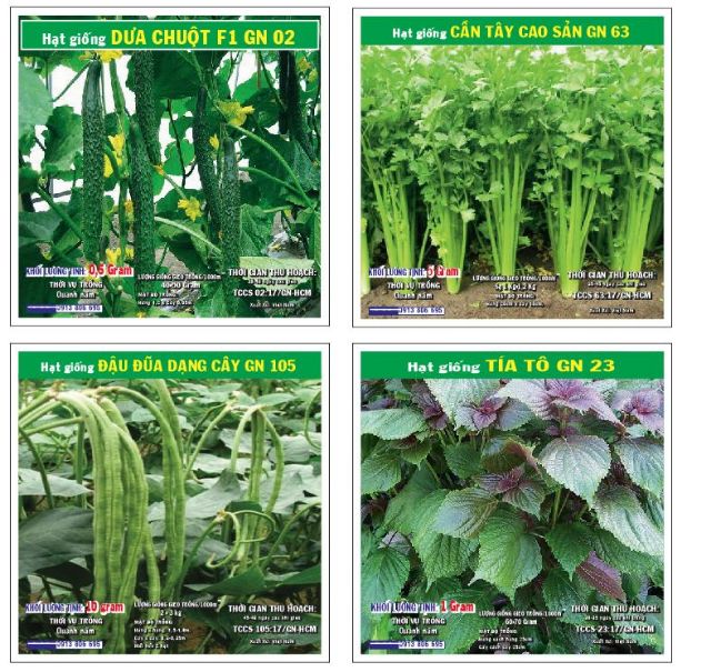 Hạt giống rau xà lách, rau thơm, cải các loại