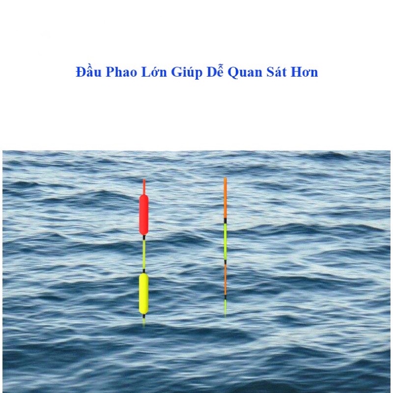 Phao Săn Hàng Tăm To dài Rễ Nhìn, Chống Mỏi Mắt
