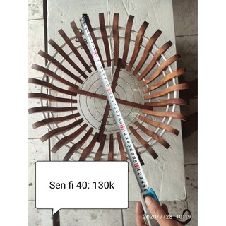 Chậu gỗ căm xe các loại