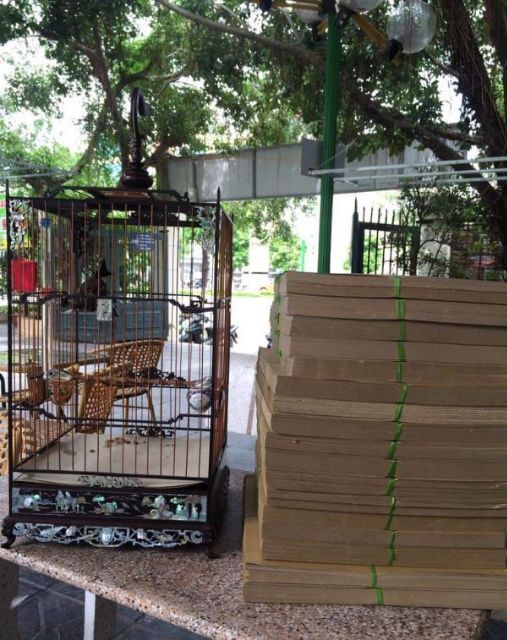 Giấy lót lồng Chào mào vuông 19 nan kích thước 37cm, trọng lượng 2kg.