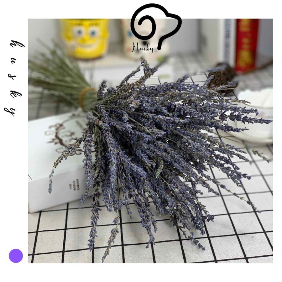 Bó 30 Cành Hoa Lavender Thơm Nhẹ, Hoa Khô Oải Hương Trang Tình Lọ Hoa